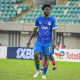 Brown Ideye