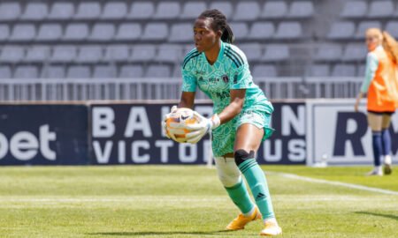 Chiamaka Nnadozie has been named in the Ligue Team of the Season for the second year running after another stellar campaign with Paris FC.