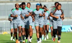 Senator Shehu Sani has questioned the absence of Northern women, especially from the Hausa and Fulani communities, in the Super Falcons.