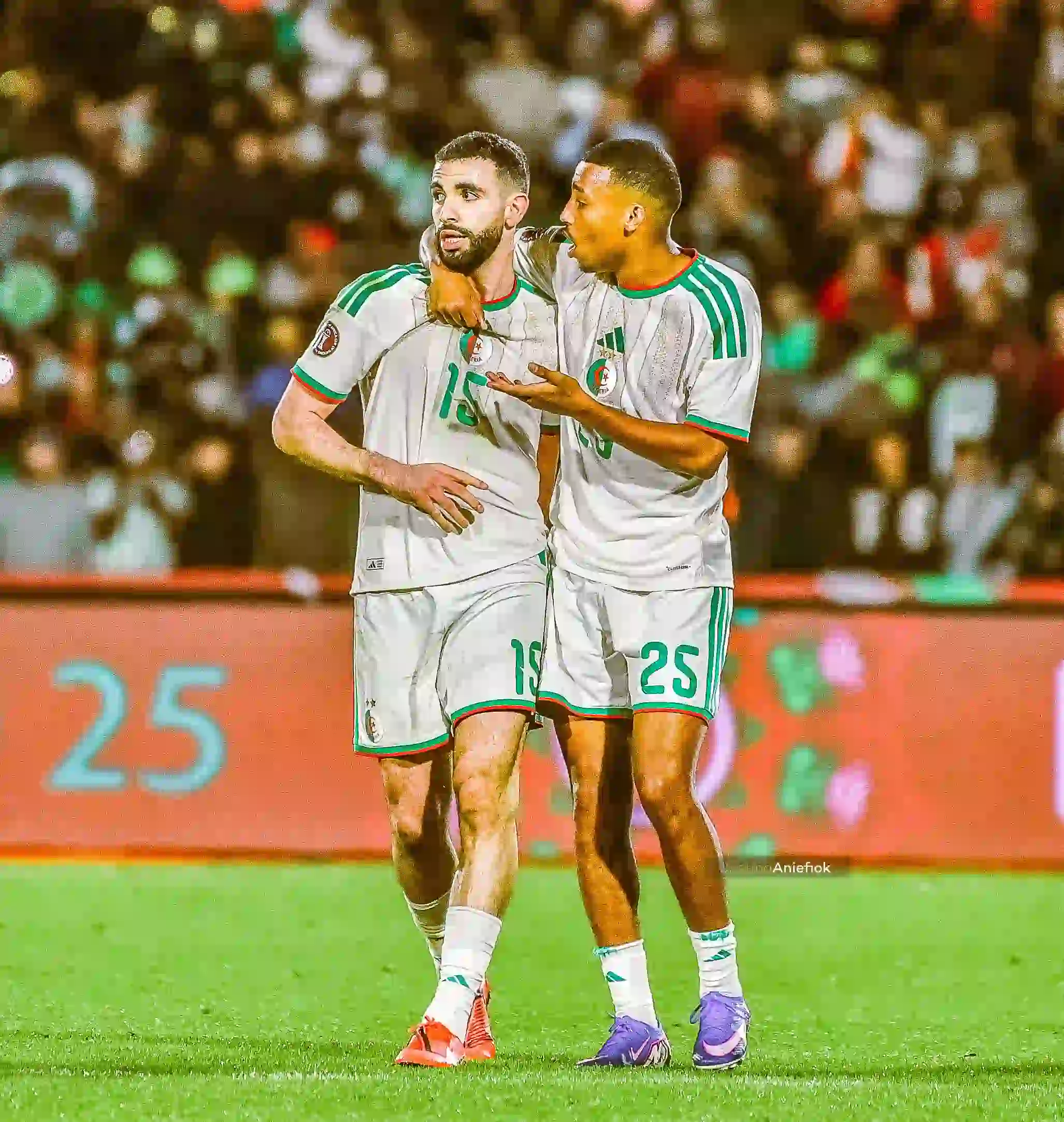 Algeria are preparing to submit a formal report to CAF over alleged poor officiating in their AFCON quarter-final loss to Nigeria.