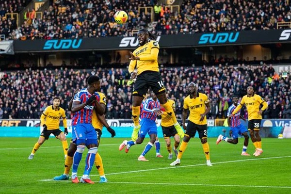 Arokodare had the chance to change Wolves fate at Selhurst Park, but one key moment swung the game as Crystal Palace left it late
