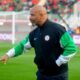 Eric Chelle has warned Nigeria’s new invitees they must outperform established stars like Victor Osimhen and Alex Iwobi to secure regular places in the Super Eagles squad.