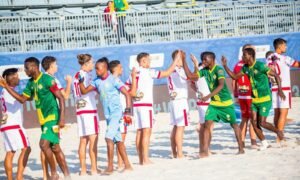 The Nigeria Football Federation has constituted an interim board to oversee the organisation of beach soccer and futsal leagues, with Mahmud Hadejia appointed chairman.