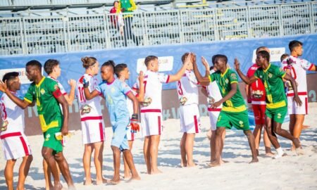 The Nigeria Football Federation has constituted an interim board to oversee the organisation of beach soccer and futsal leagues, with Mahmud Hadejia appointed chairman.